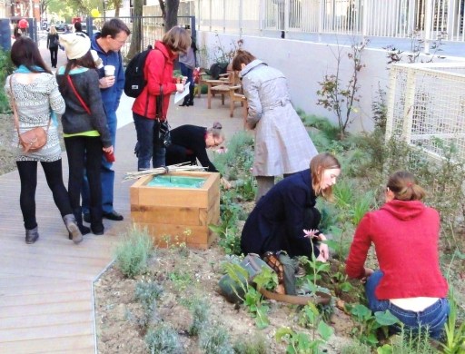 Planting spring bulbs in Marchmont Community Gardens