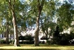 Autumn in Bedford Square