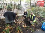Community bulb-planting during the Bloomsbury Festival