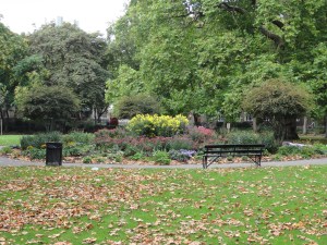 Brunswick Square central bed