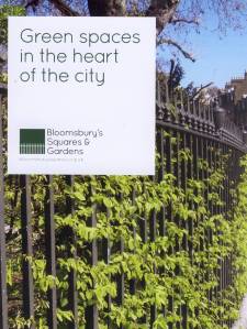 ABSG railings flier image