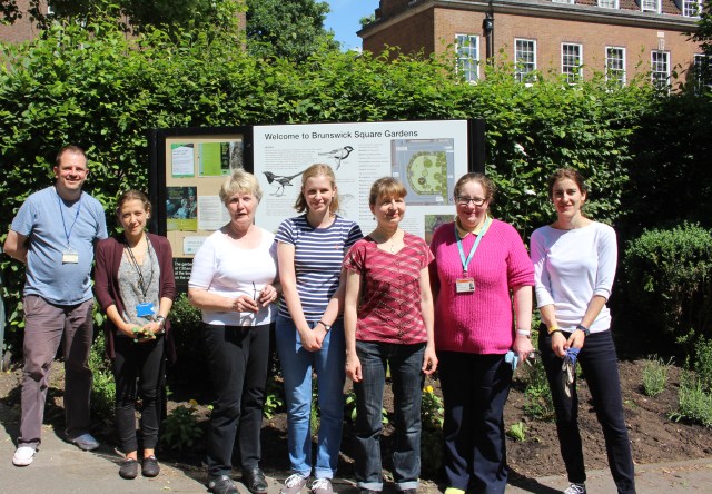 Medicinal gardeners.JPG