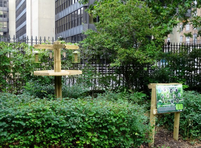 Bird feeders installed by Good Gym volunteers, July 2020 - funded by Russell Square Commissioners