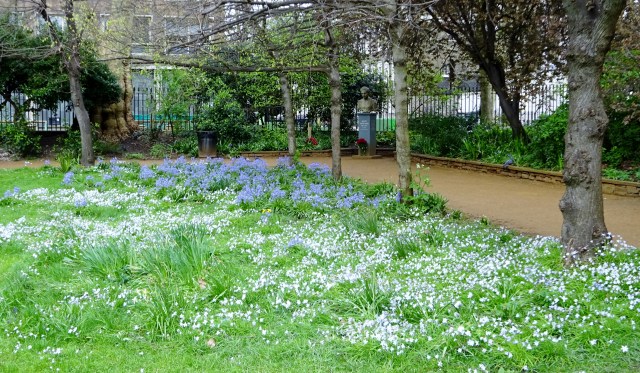 Gordon Square Spring Spring colour in Tavistock and Gordon Squares | Bloomsbury Squares ...